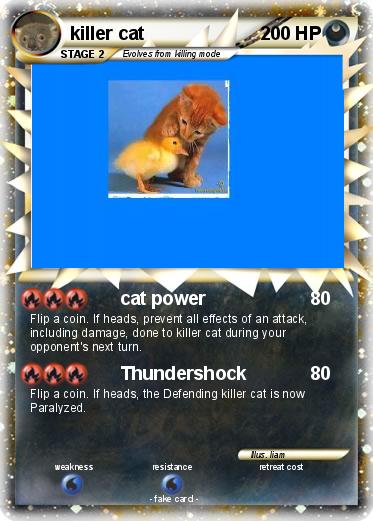 Pokemon killer cat