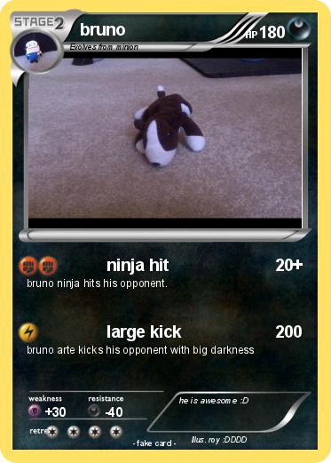 Pokemon bruno