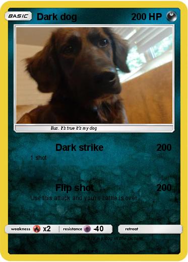 Pokemon Dark dog