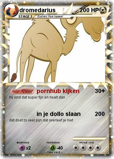 Pokemon dromedarius