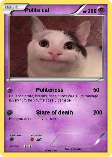 Pokemon Polite cat