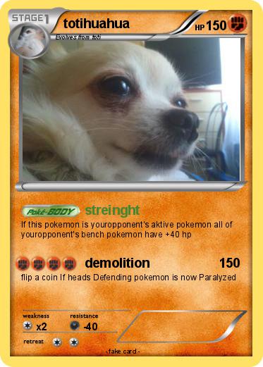 Pokemon totihuahua