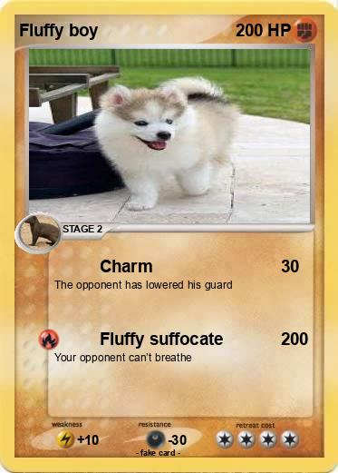 Pokemon Fluffy boy