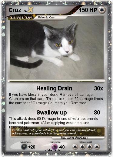 Pokemon Cruz