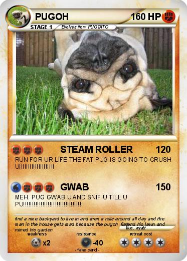 Pokemon PUGOH