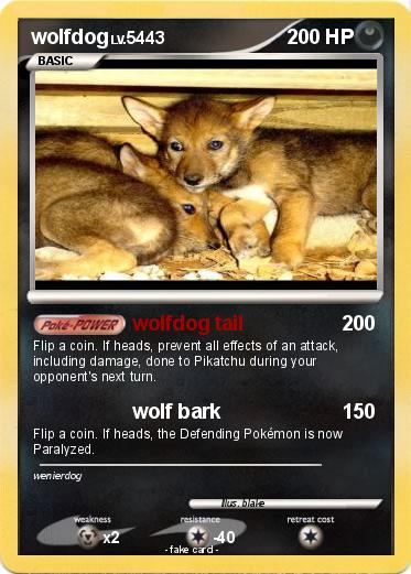 Pokemon wolfdog