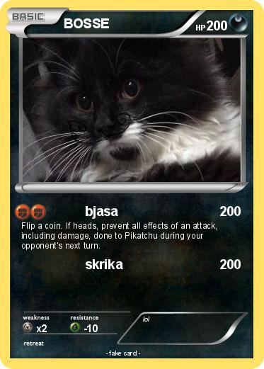 Pokemon BOSSE
