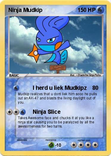 Pokemon Ninja Mudkip