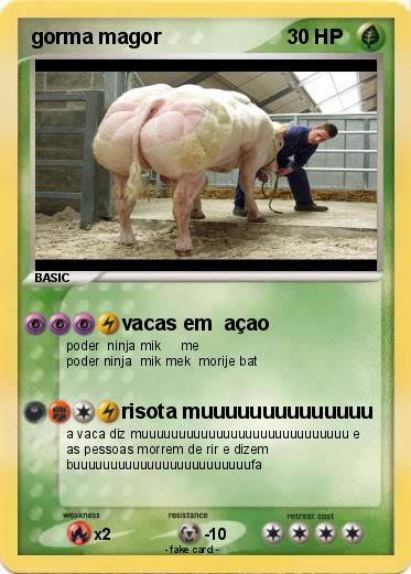 Pokemon gorma magor