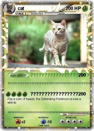 Pokemon cat