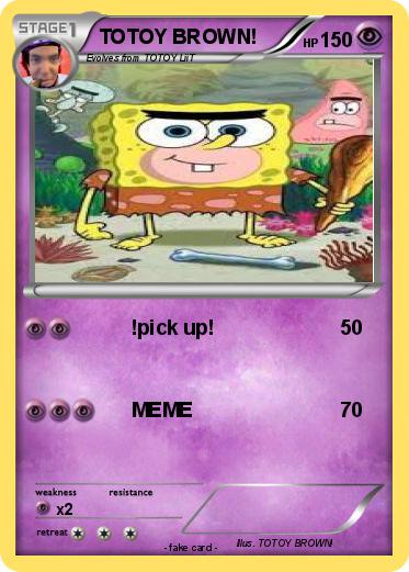 Pokemon TOTOY BROWN!