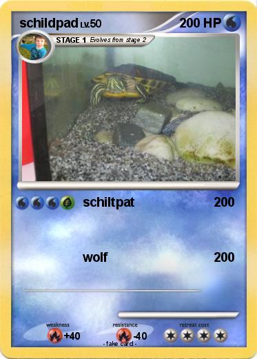 Pokemon schildpad