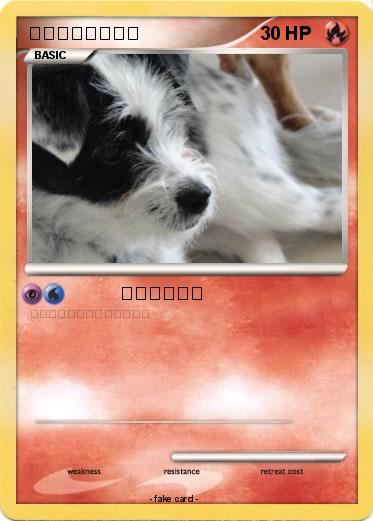 Pokemon 你想领养一个狗？