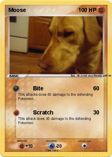 Pokemon Moose