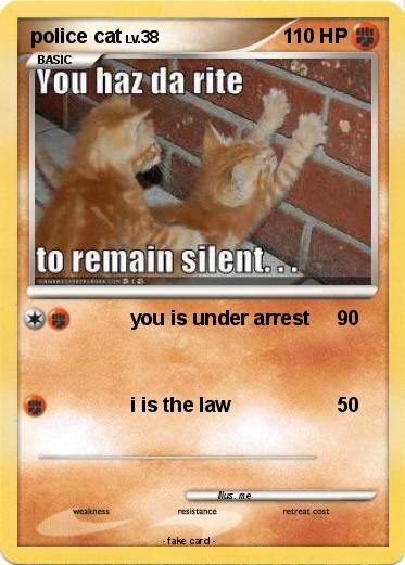 Pokemon police cat
