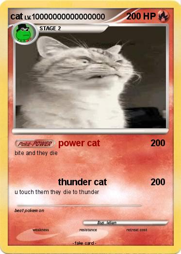 Pokemon cat