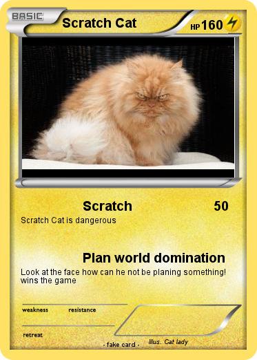 Pokemon Scratch Cat