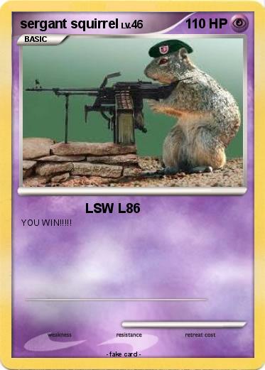 Pokemon sergant squirrel