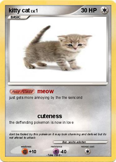 Pokemon kitty cat