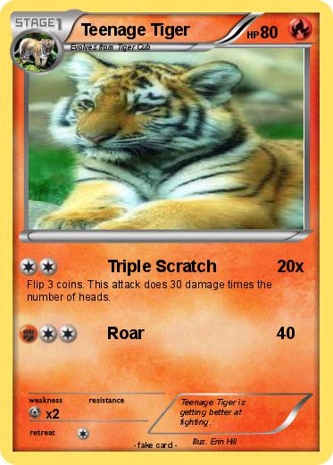 Pokemon Teenage Tiger