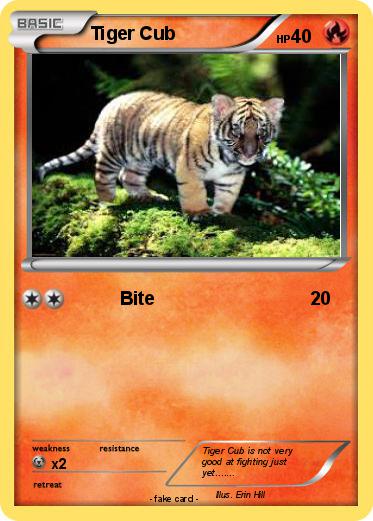 Pokemon Tiger Cub