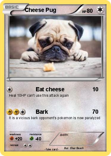 Pokemon Cheese Pug