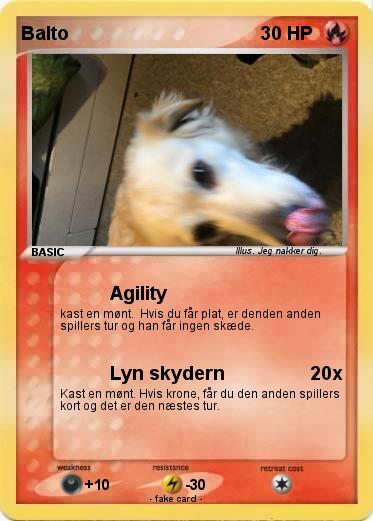 Pokemon Balto
