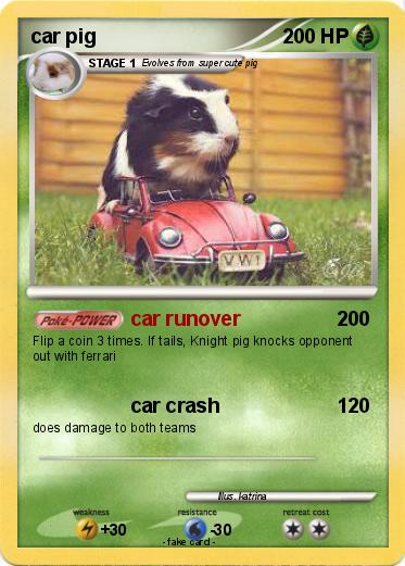 Pokemon car pig