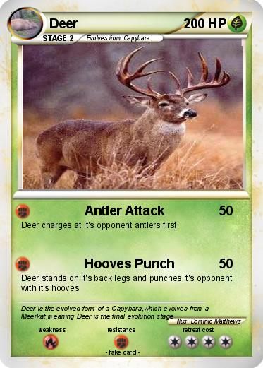 Pokemon Deer