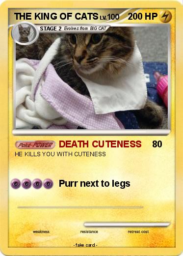 Pokemon THE KING OF CATS