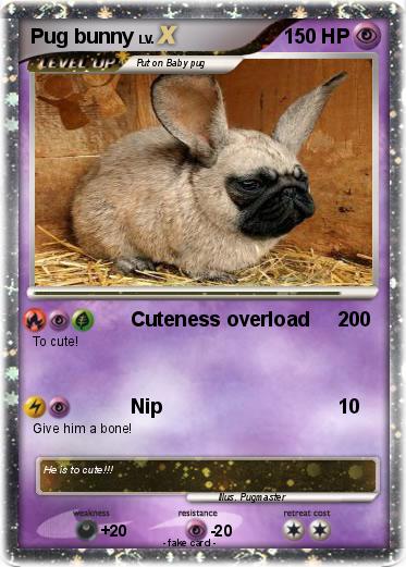 Pokemon Pug bunny