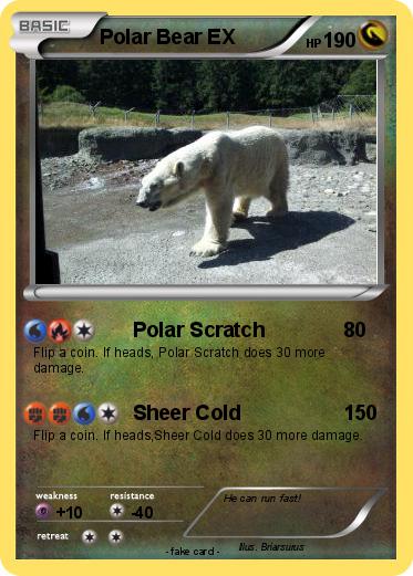 Pokemon Polar Bear EX