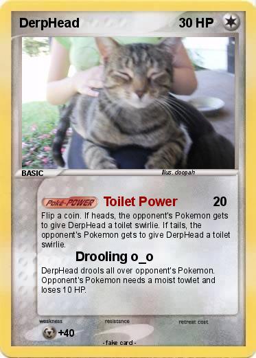 Pokemon DerpHead