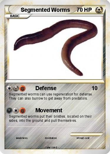 Pokemon Segmented Worms