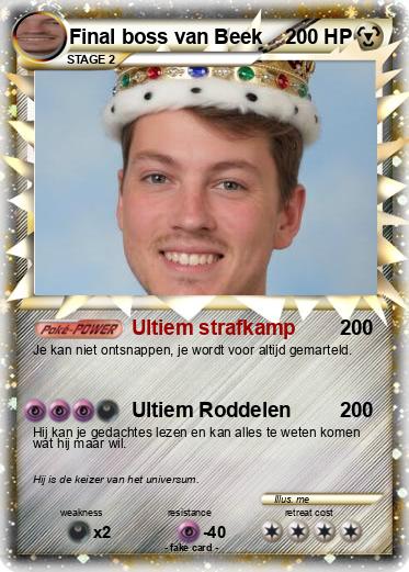 Pokemon Final boss van Beek
