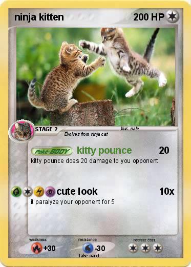 Pokemon ninja kitten