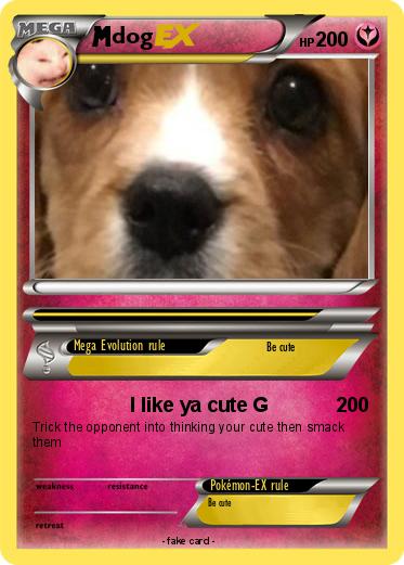 Pokemon dog