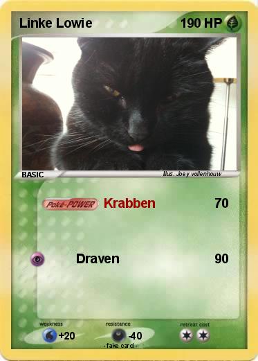 Pokemon Linke Lowie