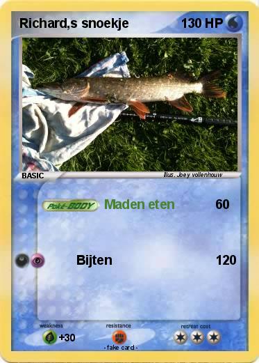 Pokemon Richard,s snoekje