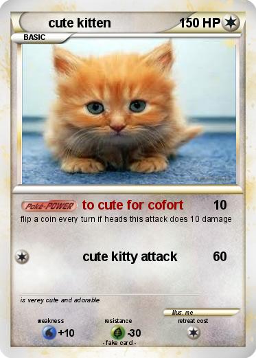 Pokemon cute kitten