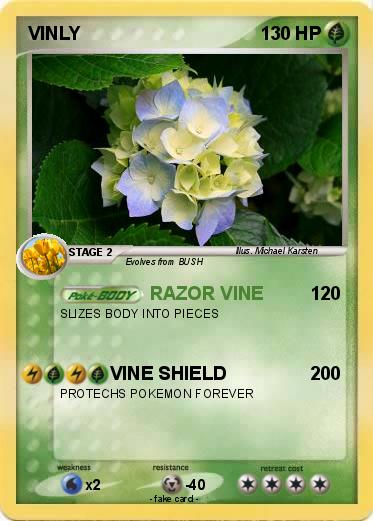 Pokemon VINLY