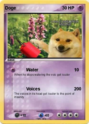 Pokemon Doge
