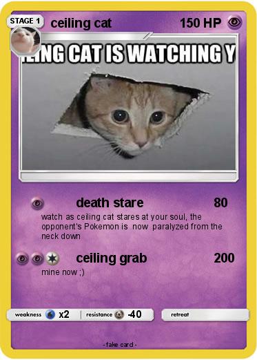 Pokemon ceiling cat