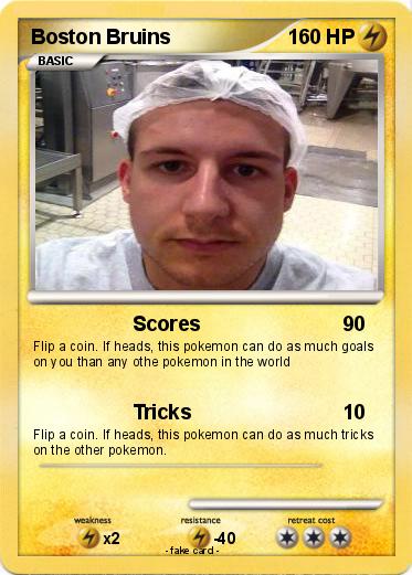 Pokemon Boston Bruins