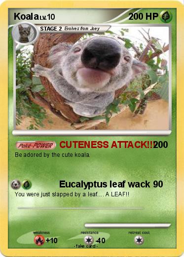 Pokemon Koala