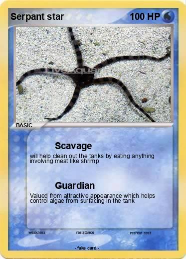 Pokemon Serpant star