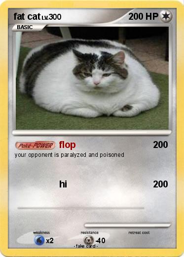 Pokemon fat cat