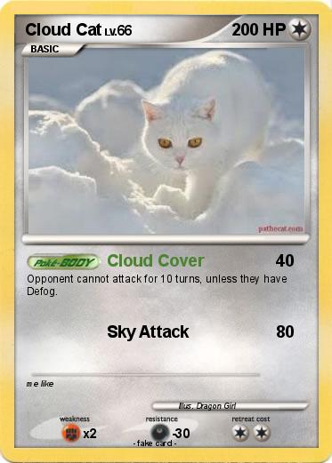 Pokemon Cloud Cat
