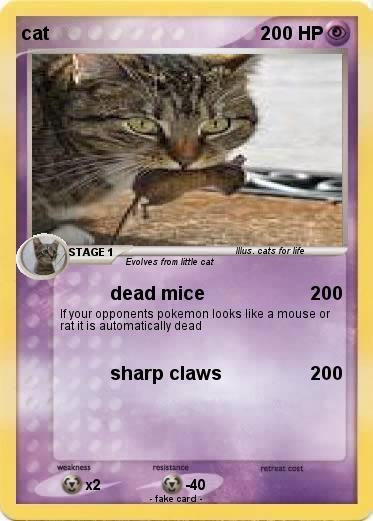 Pokemon cat