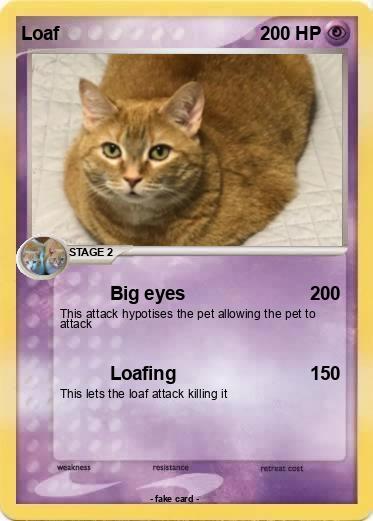 Pokemon Loaf